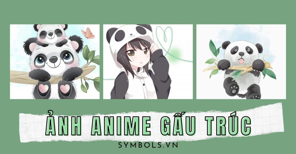 Ảnh anime gấu trúc cute, đưa bạn vào thế giới độc đáo