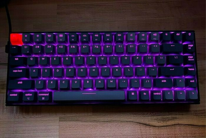 Bàn phím với ánh sáng LED tím lãng mạn