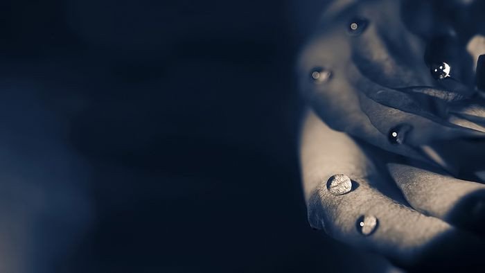 Bộ sưu tập hình nền máy tính đẹp nhất với màu sắc rực rỡ