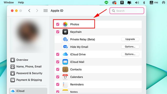 Tích chọn Hình ảnh trong Apple ID trên Mac