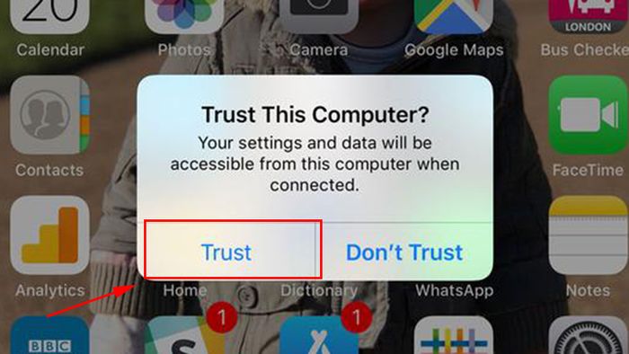 Nhấn Trust trên iPad để cấp quyền truy cập