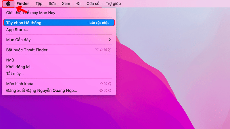 Truy cập Tùy chọn hệ thống trên Macbook để cài đặt Siri