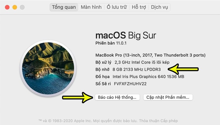 Thông tin RAM máy tính MacBook chi tiết trong System Report