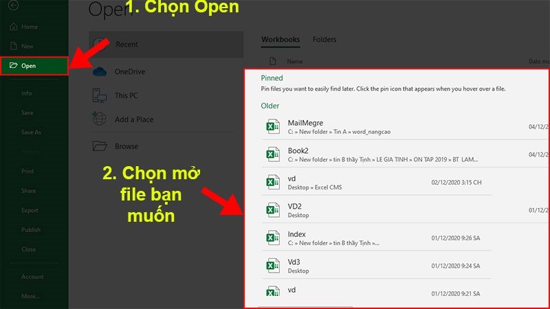 Cách mở Excel trên máy tính: chọn file để mở