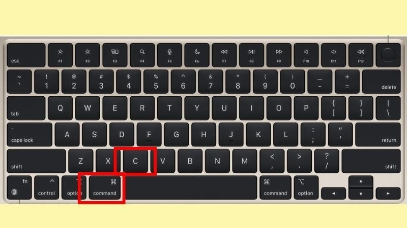 Bôi đen toàn bộ trang văn bản trong Word và nhấn phím tắt Command + C để sao chép trên MacBook
