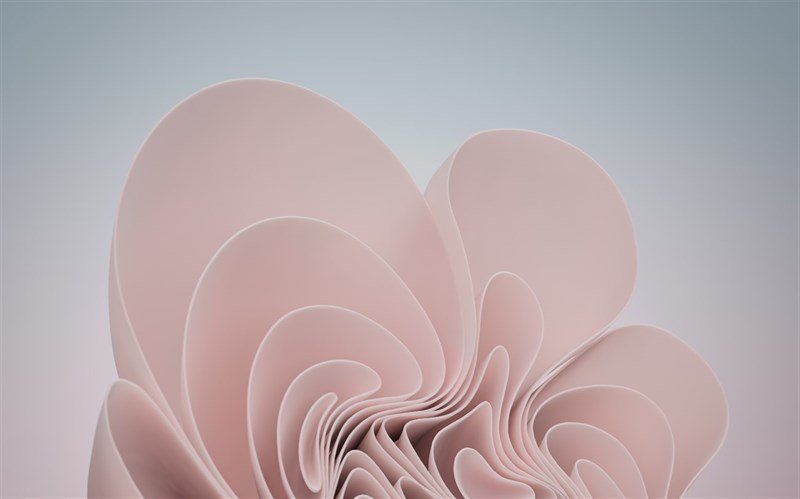 Hình nền mặc định Windows 11