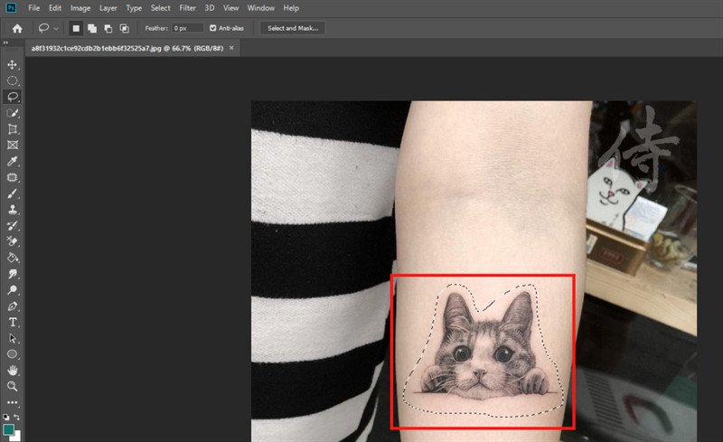Cách xóa hình ảnh không mong muốn trên máy tính bằng Lasso Tool