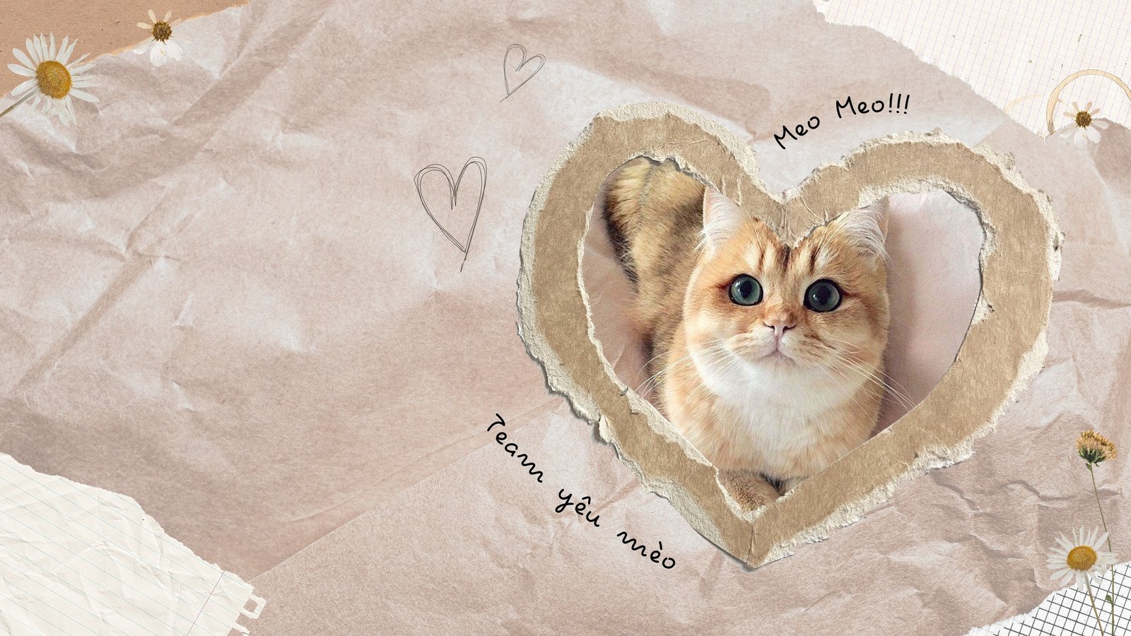 Hình nền máy tính đẹp tạo không gian làm việc mới