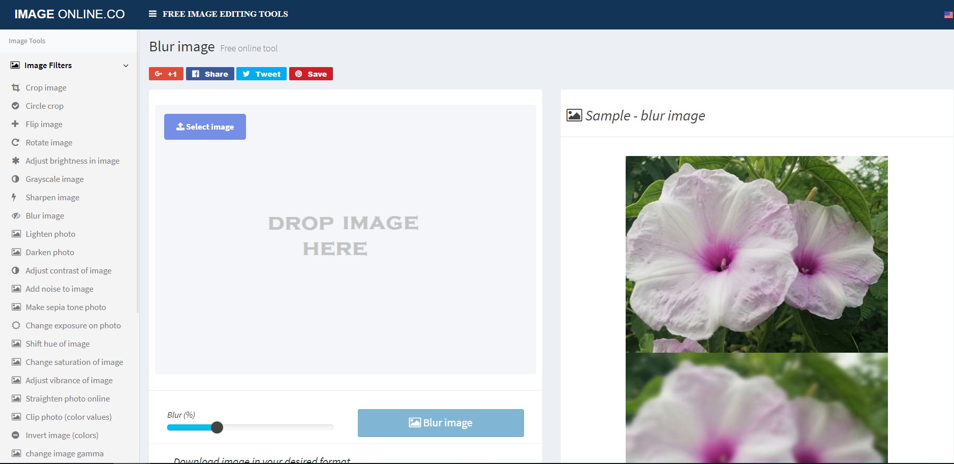 Giao diện Image Blur - Công cụ hỗ trợ làm mờ ảnh online trên máy tính