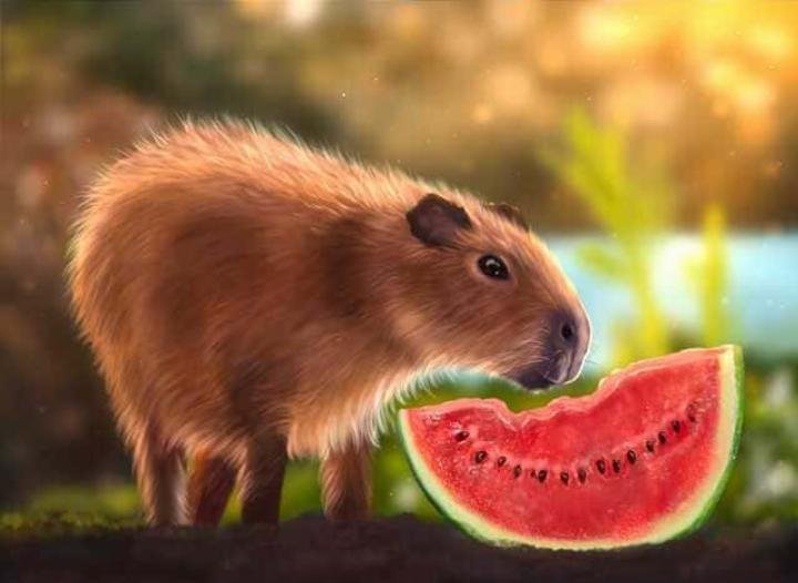 Hình nền Capybara đang cầm máy ảnh, thể hiện sự tò mò trên máy tính