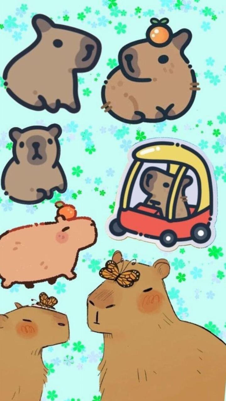 Hình nền Capybara đeo tai nghe và biểu cảm tập trung