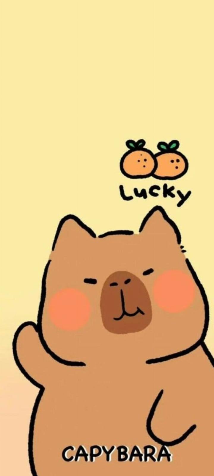 Hình nền Capybara với biểu cảm hài hước và ngộ nghĩnh