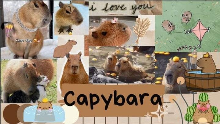 Hình nền Capybara với bó hoa tươi thắm, đẹp mắt cho máy tính