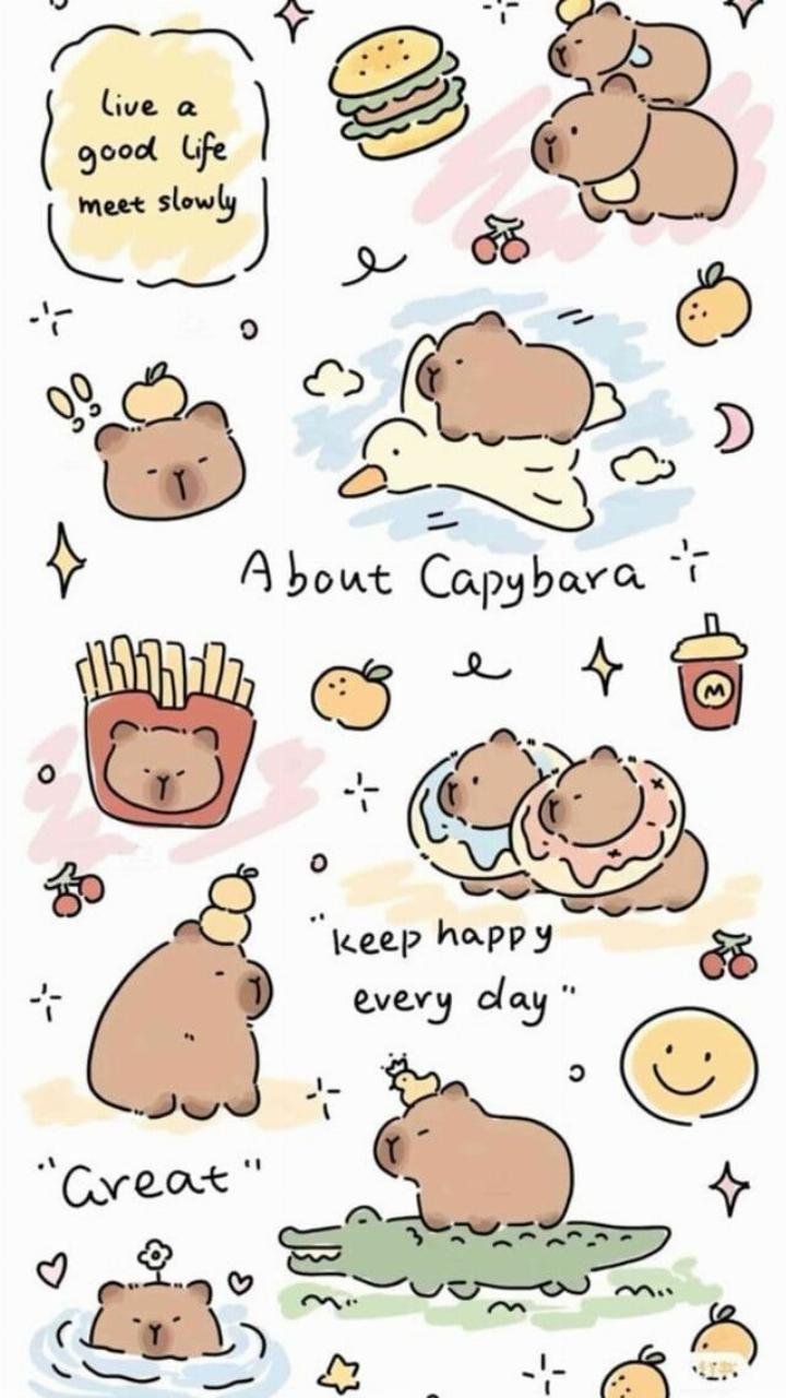 Hình nền Capybara với phong thái bình thản và thư thái