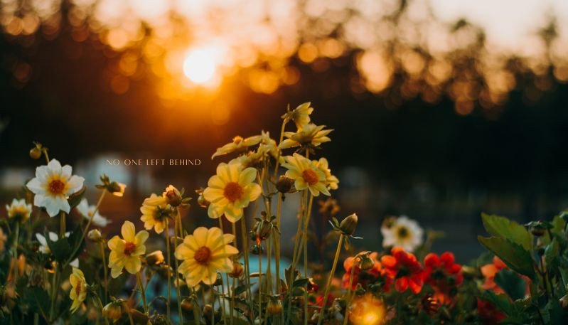 Hình nền máy tính độc đáo chất lượng cao