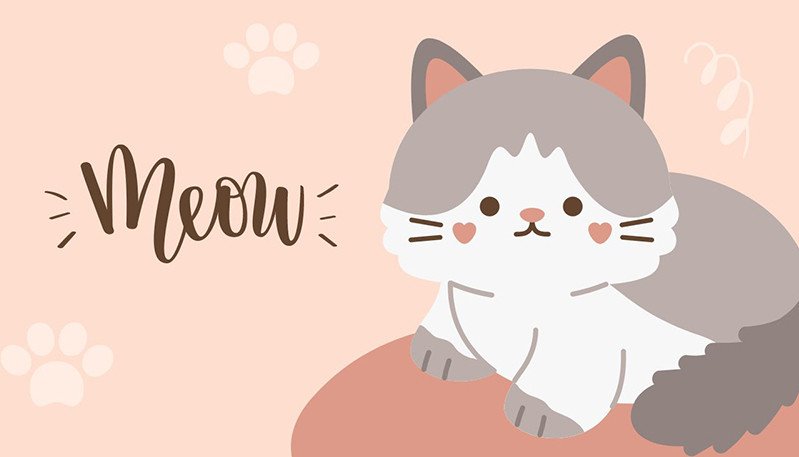 Hình nền máy tính độc đáo cute 1