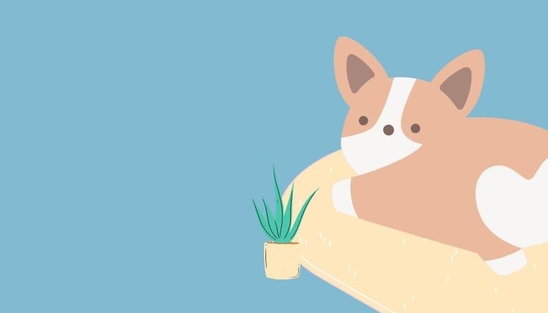 Hình nền máy tính độc đáo cute