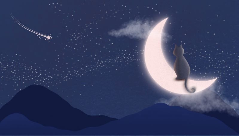 Hình nền máy tính độc đáo hoàng hôn