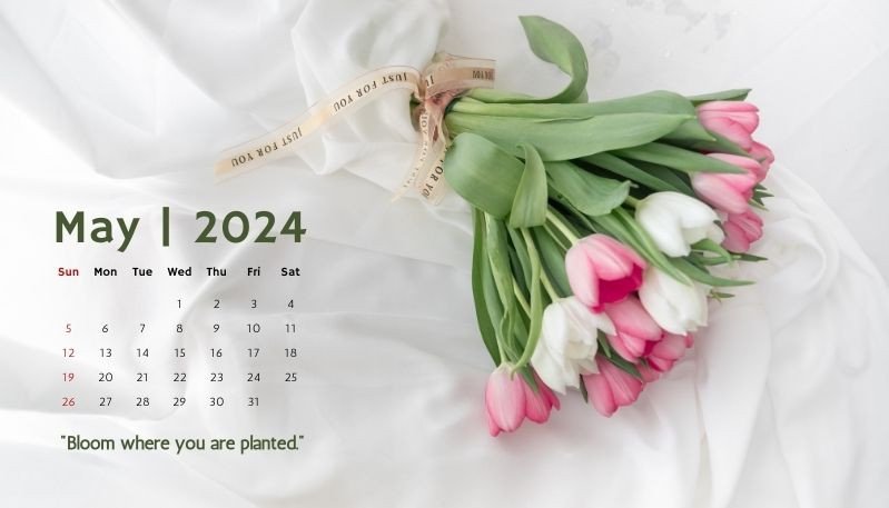 Hình nền máy tính độc đáo lịch tháng mùa đông