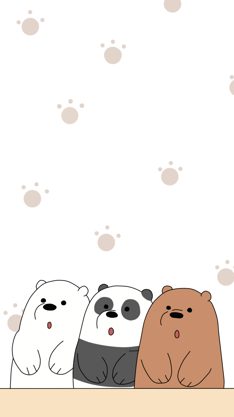 We Bare Bears khám phá những điều thú vị