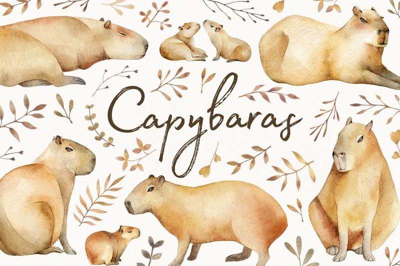 Hình nền máy tính dễ thương Capybara dưới nước
