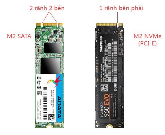 Phân biệt SSD M.2 và SSD 2.5 inch