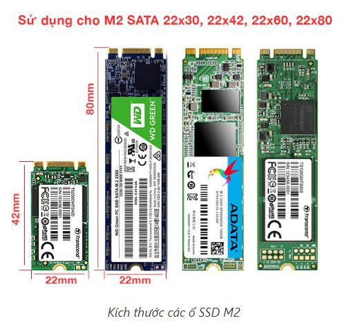 Các kích thước phổ biến của ổ cứng SSD M.2