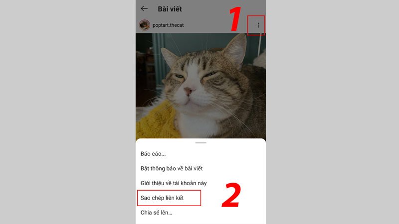 Sao chép liên kết ảnh trên Instagram để tải về