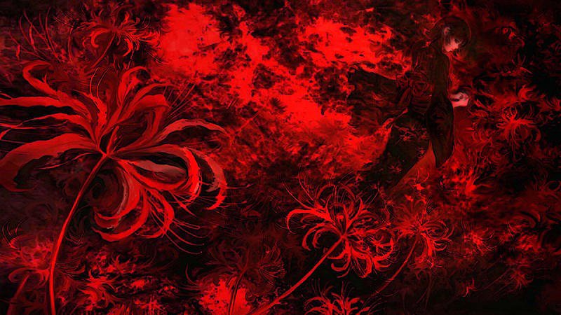 wallpaper hoa bỉ ngạn 2560x1440