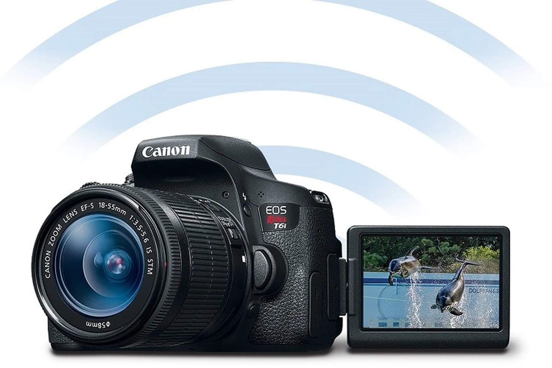 Lợi ích khi kết nối máy ảnh Canon với máy tính để bàn và laptop