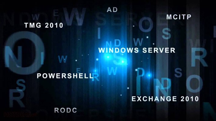 Chuyên gia quản trị mạng máy tính cơ bản