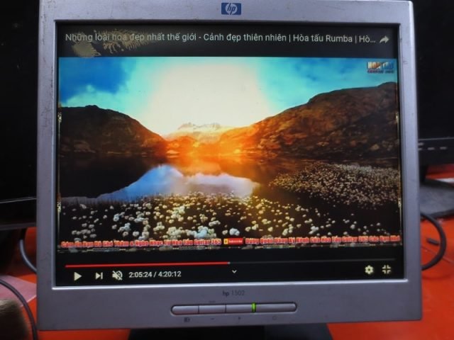 Màn hình máy tính cũ 15 inch HP 1502 đang hoạt động