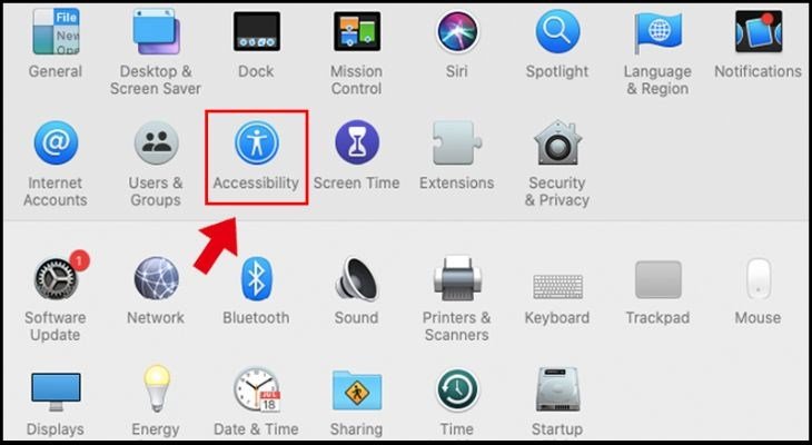 Chọn Accessibility (Trợ Năng) trong Tùy chọn Hệ thống