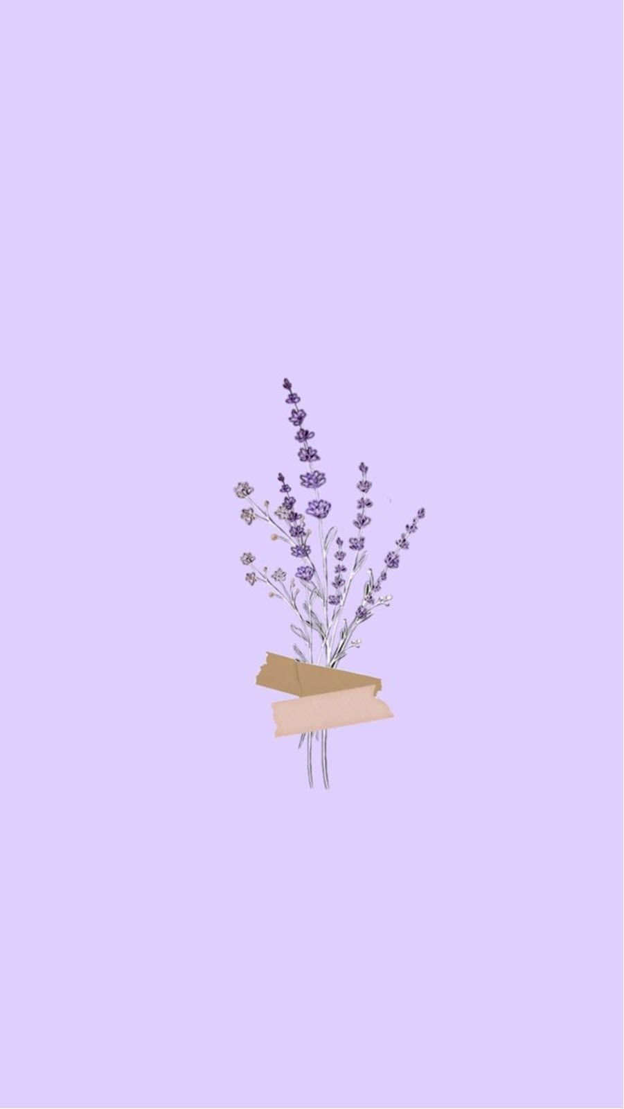 Hình nền máy tính hoa lavender