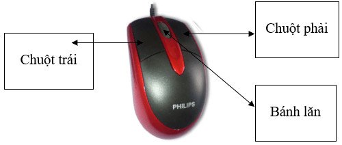 Các bộ phận của một con chuột máy tính được đánh số