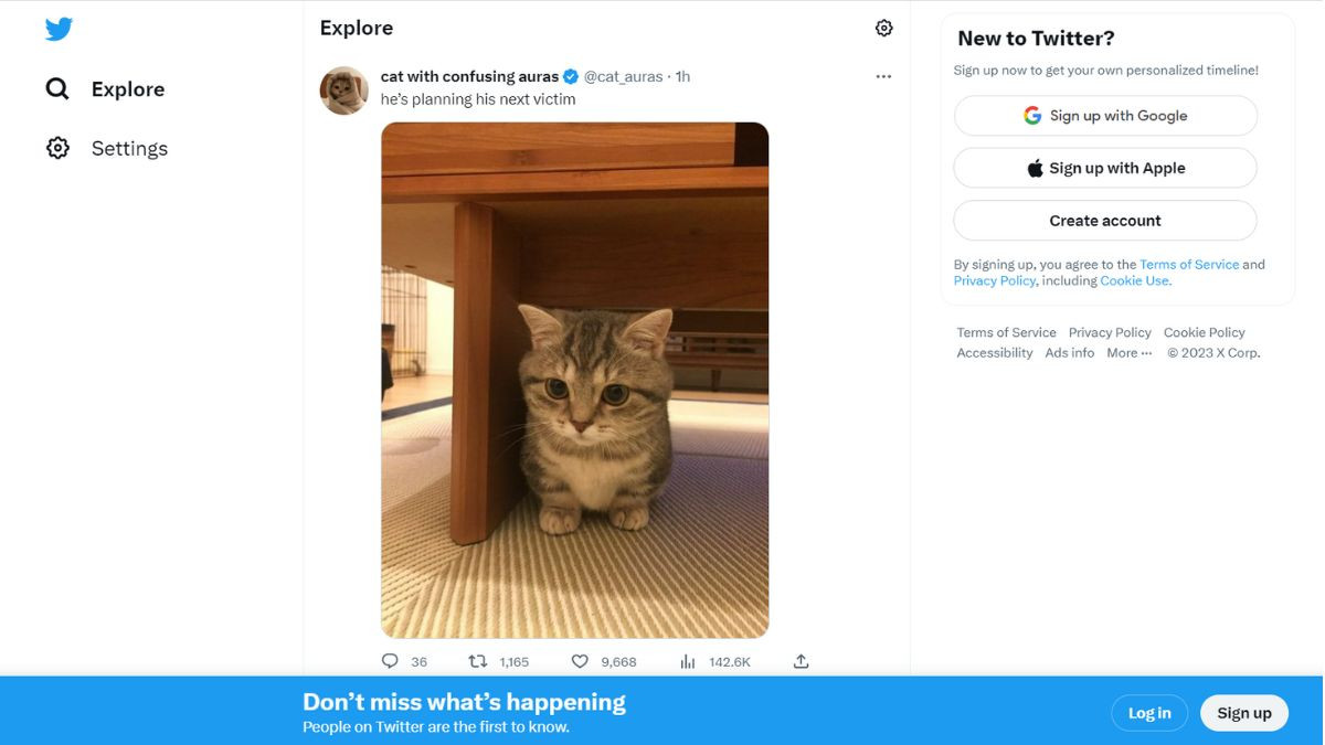 Cách Đăng Nhập Twitter Trên Máy Tính Nhanh Chóng, An Toàn