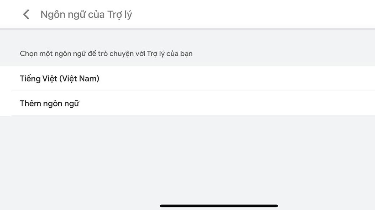 Cài đặt ngôn ngữ cho chị Google Assistant để giao tiếp hiệu quả