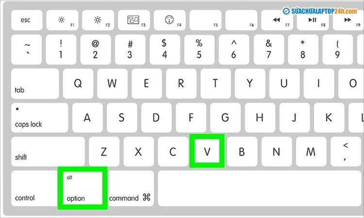 Nhấn tổ hợp phím Options + V để chèn biểu tượng căn bậc hai trên máy Mac