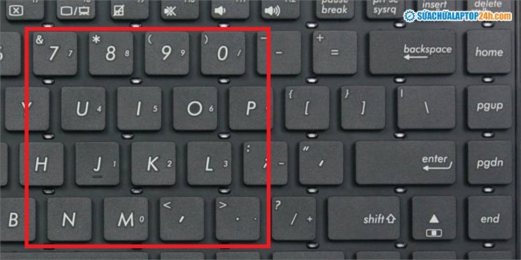 Bàn phím số đặc biệt được tích hợp trên một số dòng laptop để nhập các ký hiệu đặc biệt