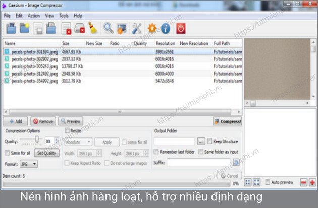 Các định dạng tệp đầu ra được hỗ trợ bởi phần mềm Caesium