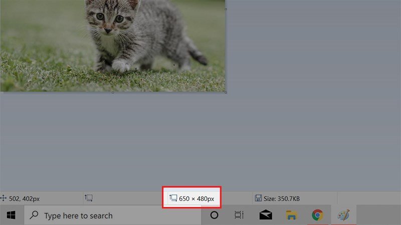 Chú ý đến kích thước chiều rộng, chiều cao của ảnh
