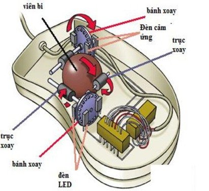 Thiết bị Ngoại Vi Của Máy Tính – Hướng Dẫn Toàn Diện Từ A-Z