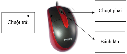 Bên trong chuột máy tính với các thành phần được đánh số