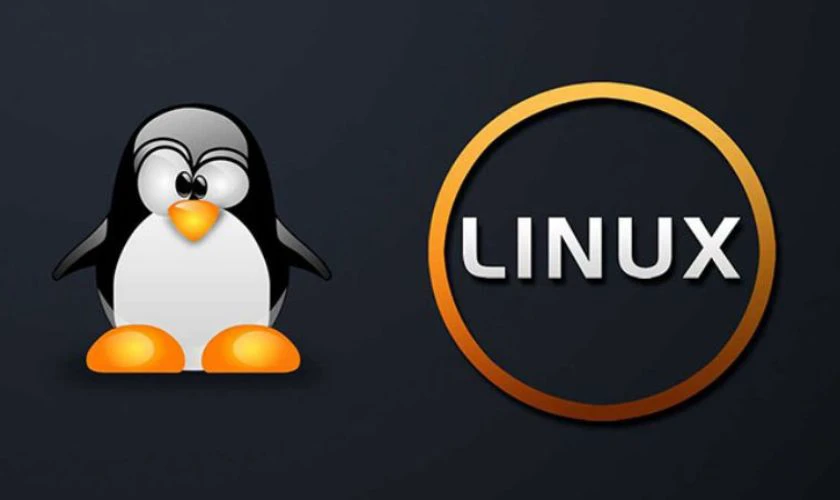 Linux: Hệ điều hành mã nguồn mở, miễn phí và linh hoạt.
