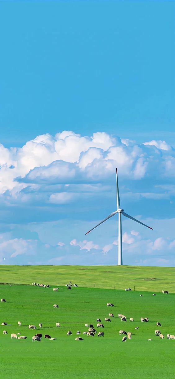 Hình nền máy tính bảng tối giản với họa tiết đường cong mềm mại