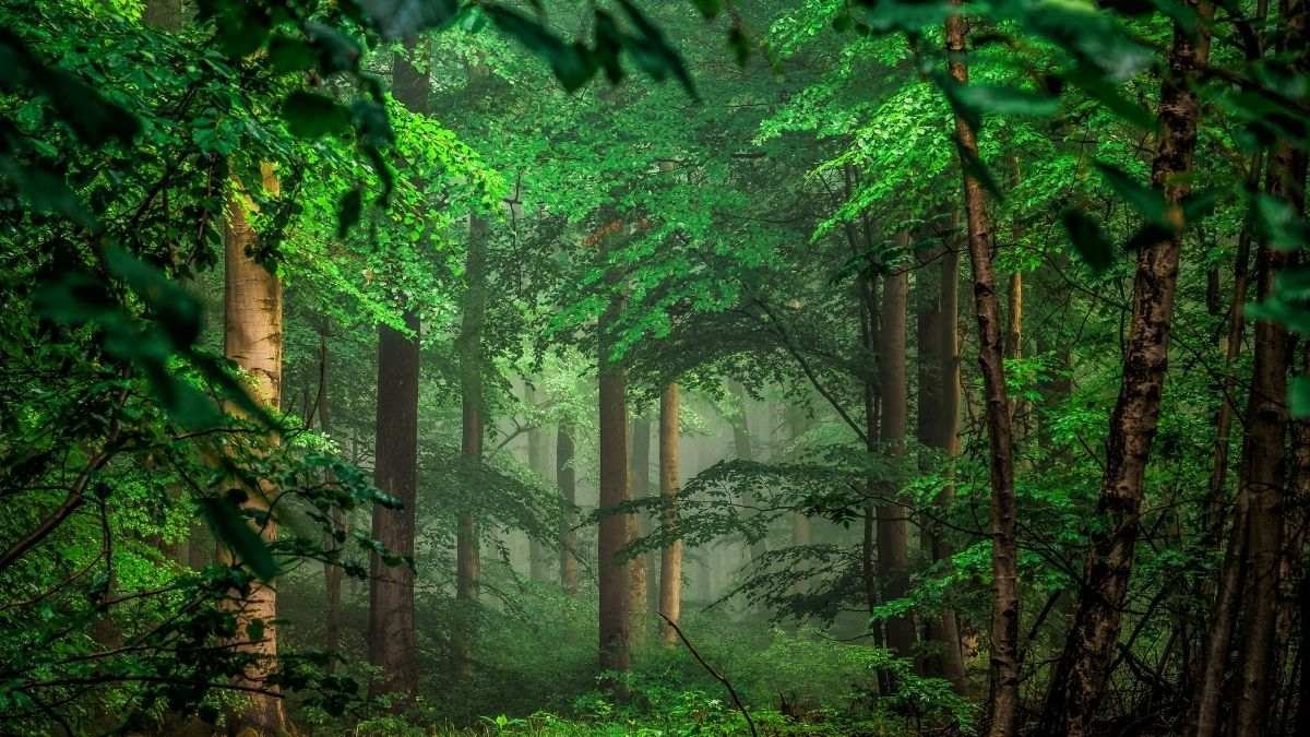 Hình nền máy tính 4K đẹp nhất mảng màu hiện đại