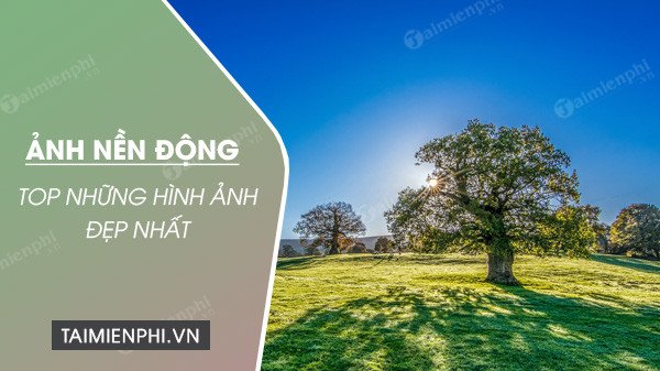Hình nền 3D 4K cho máy tính: Khám phá vẻ đẹp sống động