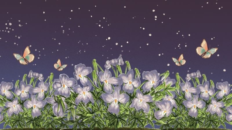 Hình nền máy tính full HD 1920×1080 anime phong cách fantasy