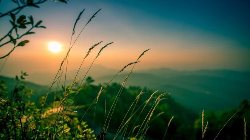 Hình nền máy tính full HD 1920×1080 cảnh vật mùa thu