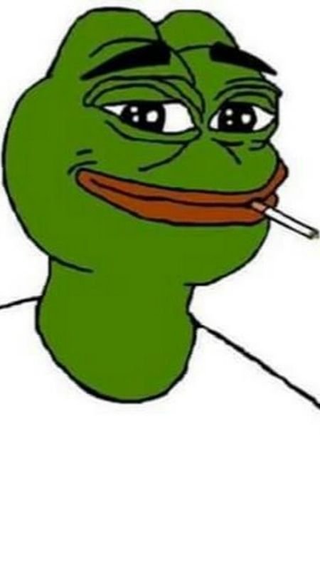 Hình nền điện thoại hài hước với chú mèo lười biếng